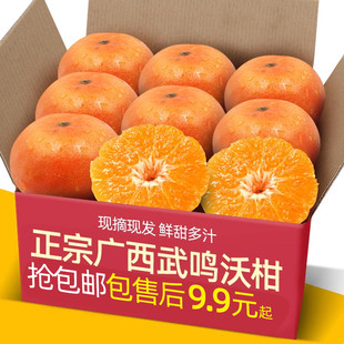 南沙糖蜜橘砂糖柑橘桔子橘 9斤新鲜水果当云季 正宗广西武鸣沃柑5