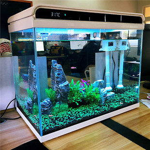 生态免换水金鱼缸 小型桌面家用水族箱 森森超白玻璃小鱼缸客厅