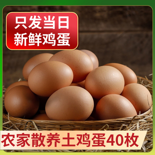 正宗土鸡蛋40枚农家散养草鸡蛋新鲜蛋月子蛋笨鸡蛋散养柴鸡蛋整箱