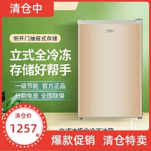 荣事达全冷冻立式 冰柜家用小型 茶叶母乳急冻冰箱 90L冷柜抽屉式
