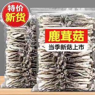 500g 新鲜鹿茸菇干货非特级鹿茸菌云南特产煲汤脆姑蘑菇香菇45元