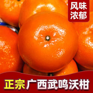 整箱蜜砂糖柑橘大桔子橘子 广西武鸣沃柑10斤一级纯甜新鲜水果当季