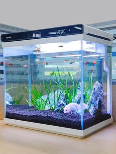 森森超白玻璃小鱼缸免换水可增氧客厅小型桌面家用水族箱金鱼缸