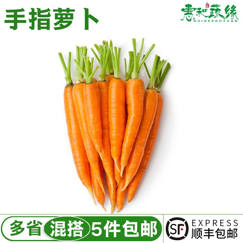 新鲜去叶手指萝卜500g迷你水果胡萝卜蔬菜沙拉轻食西餐生吃食材