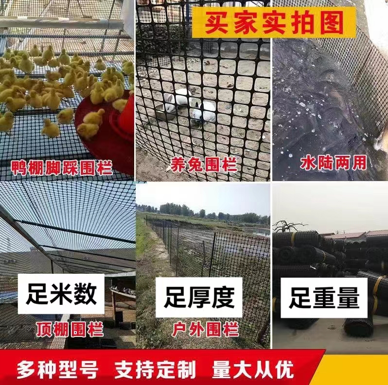 养鸡塑料围栏网阳台安全防护网隔离网鸡鸭围网漏粪网养殖网