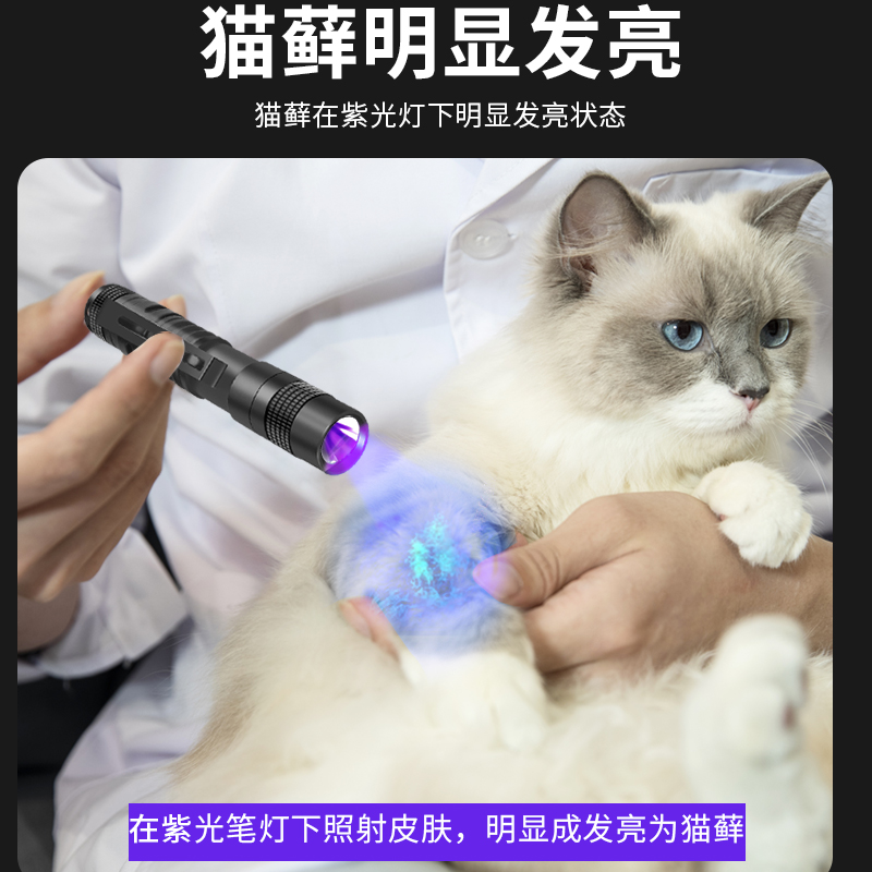 伍德氏灯照猫尿真菌检测电筒365紫外线荧光剂防伪紫光验钞灯专用