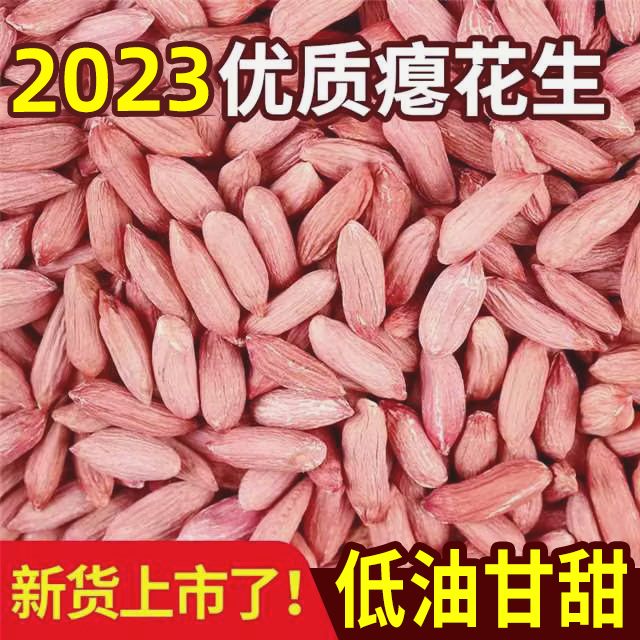 2023山东新鲜小瘪花生不带壳红衣仁新鲜瘪花生原味干瘪花生米零食