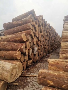 各种松木杂木杨木方木板材原木木材名贵木材开料托盘木箱料加工